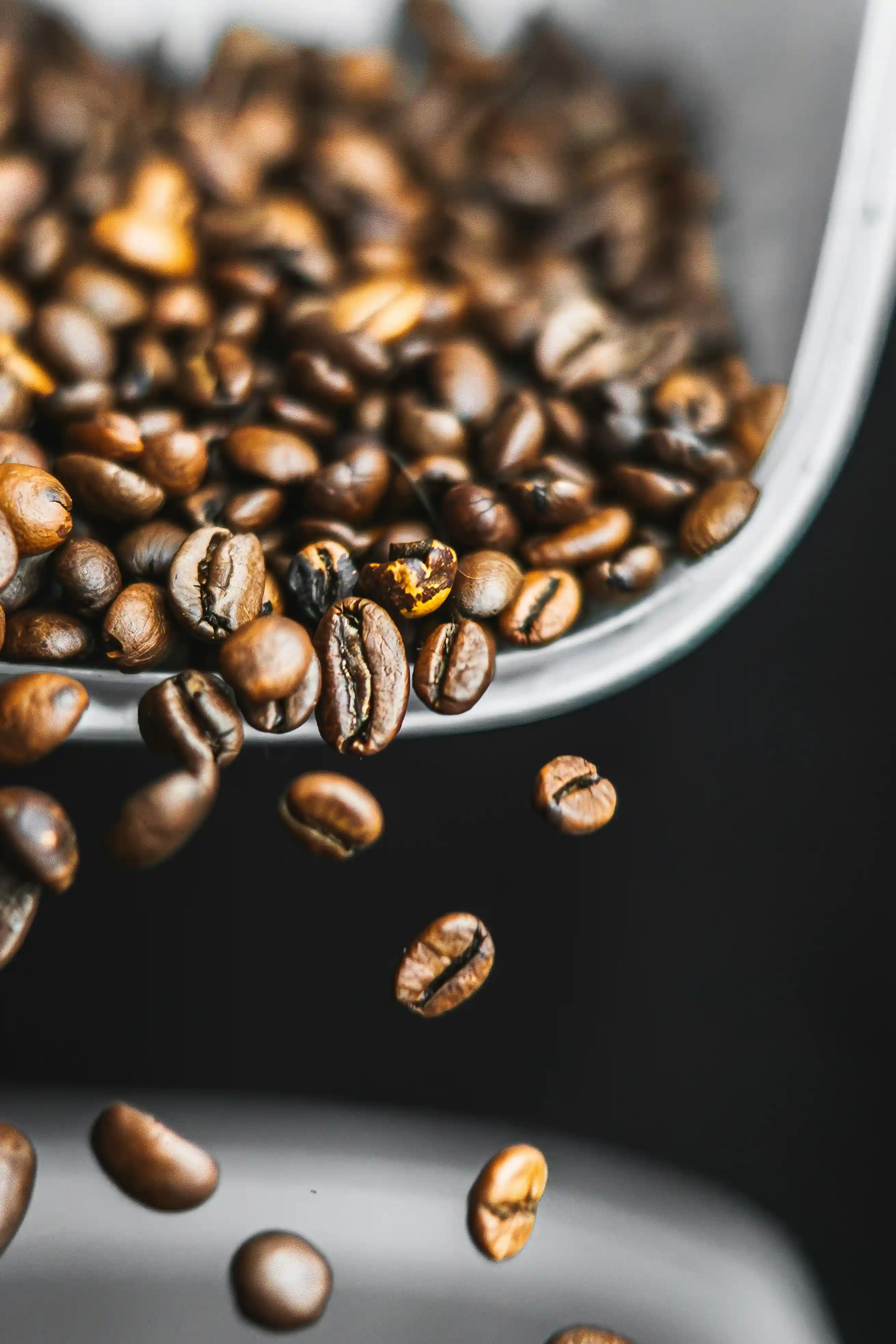 Grains de café de spécialité en gros plan